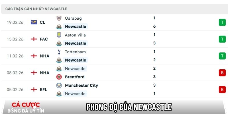 Phong độ của Newcastle